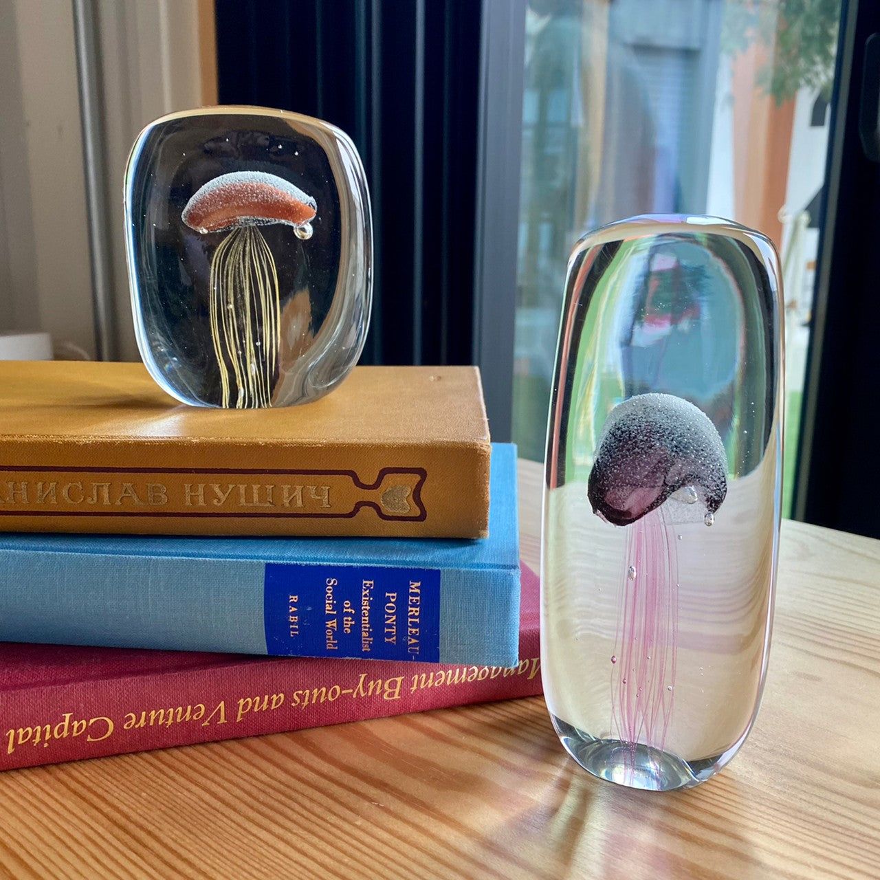 jellyfish paperweight