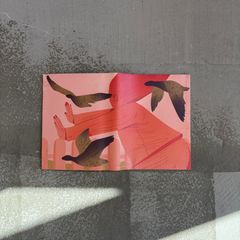 Aquvii Wallet small / RETART / 財布 (Pink)