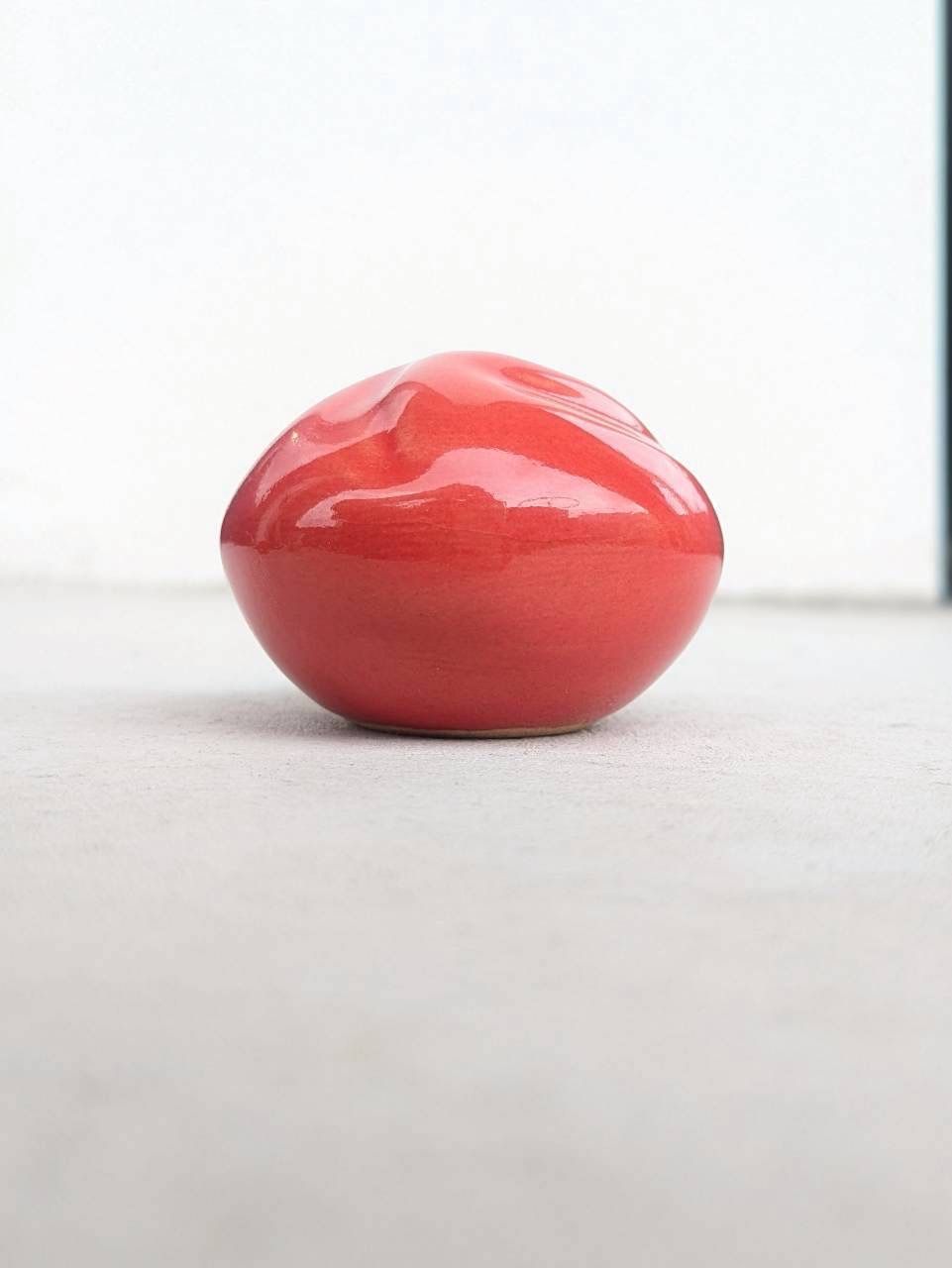 土の花【花】Red