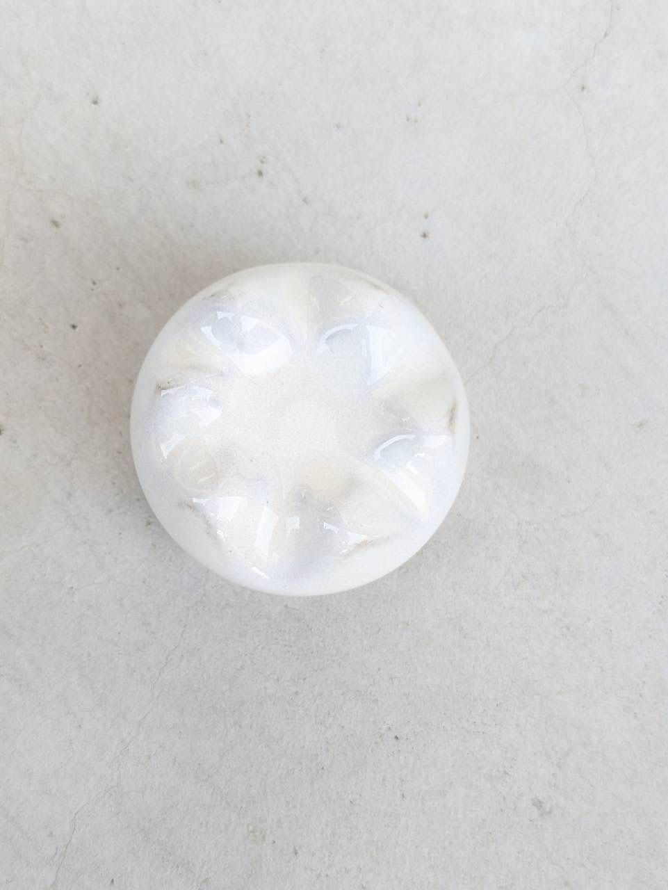 土の花【花】White