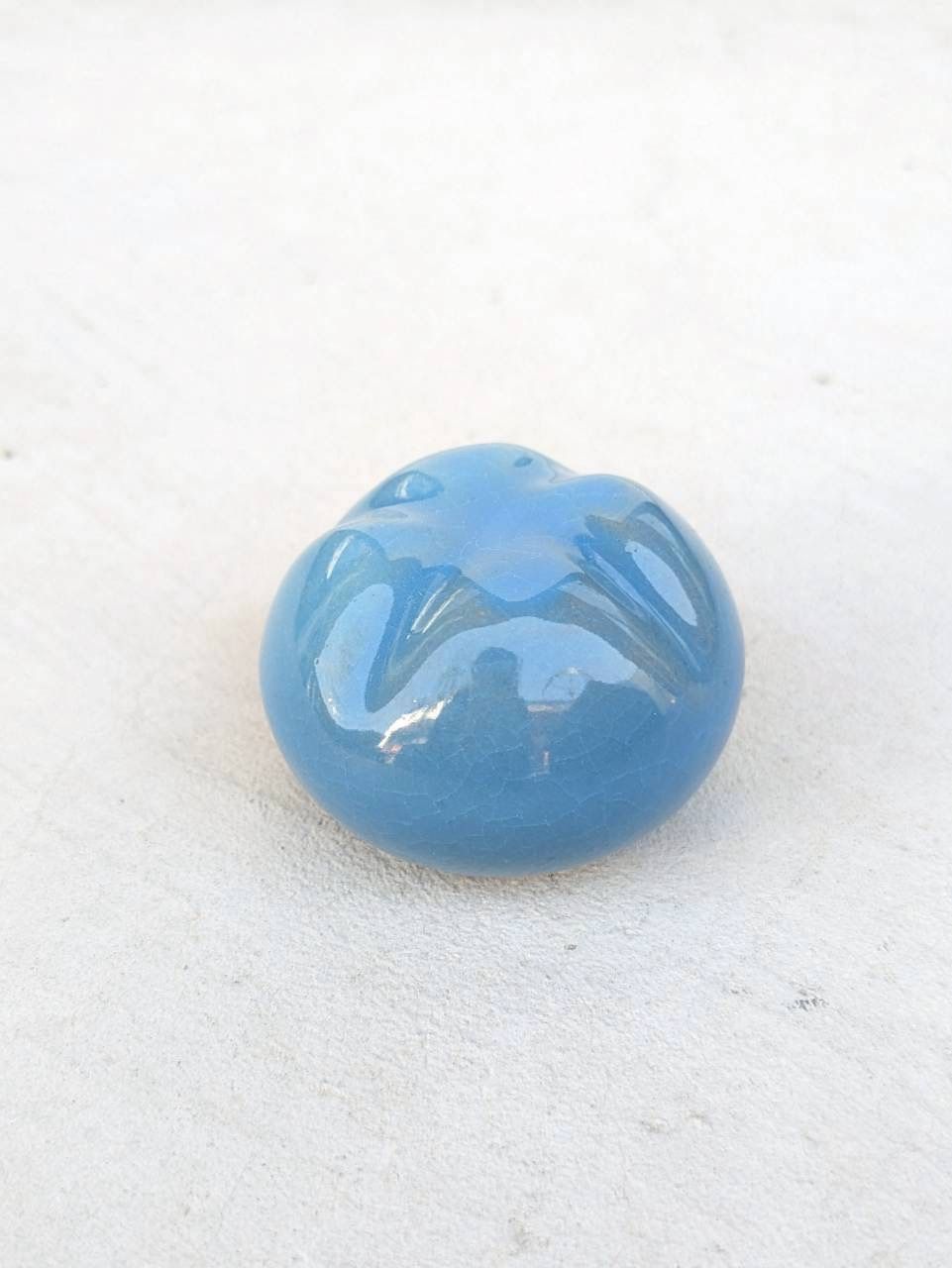 土の花【花】Blue